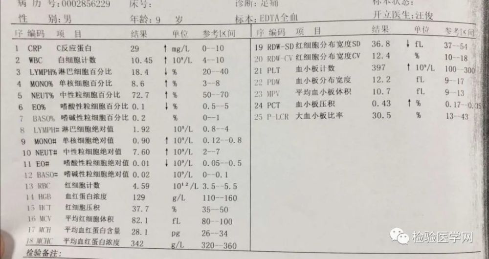 血液系統疾病診斷思路圖解病例之all