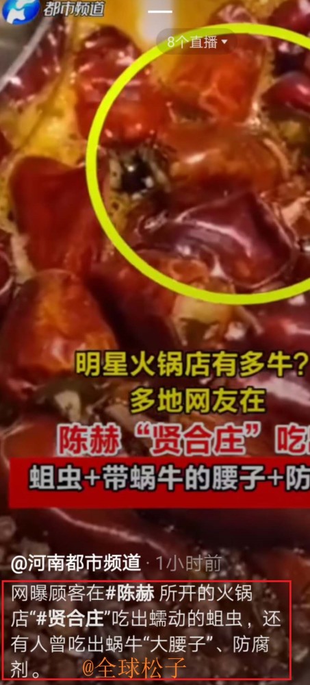 陈赫|陈赫的火锅店也“翻车”了？媒体报道称顾客吃出了“蛆”和防腐剂