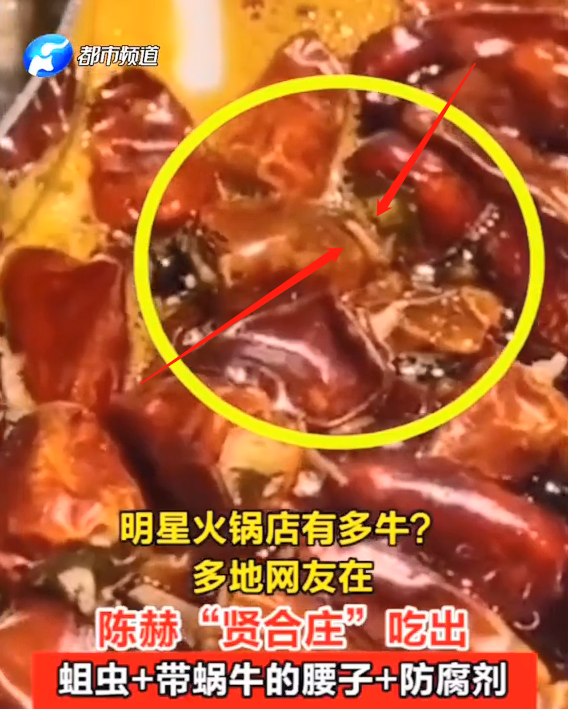 陈赫|陈赫的火锅店也“翻车”了？媒体报道称顾客吃出了“蛆”和防腐剂