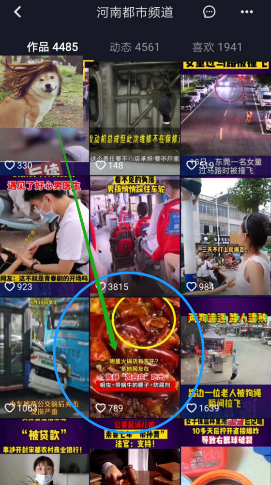 陈赫|陈赫的火锅店也“翻车”了？媒体报道称顾客吃出了“蛆”和防腐剂