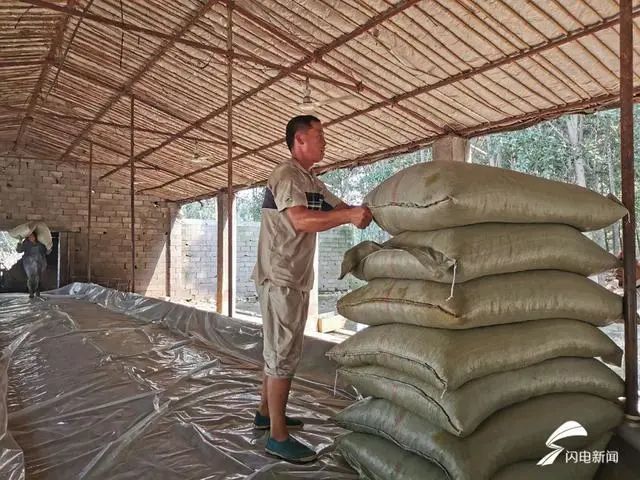 沂南县|沂南养牛场救灾新进展，将搬迁新址