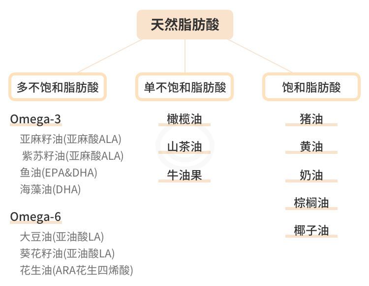 饮食中增加n-3脂肪酸还可能减少脂肪变性程度;而单不饱和脂肪酸,有
