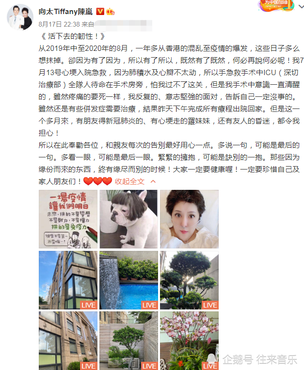 向佐|郭碧婷怀孕8个月，向佐未能陪产另有苦衷？向太本人亲自实锤！