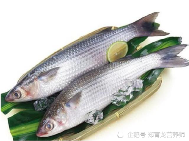 夏季健康打卡常吃魚抗焦慮