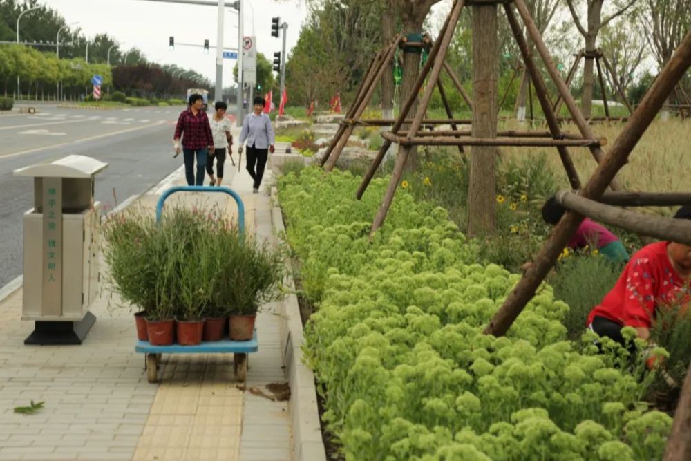 嘉年华|小编提前探访城市绿心！33块运动场开放，还有冰雪嘉年华和水上运动中心！