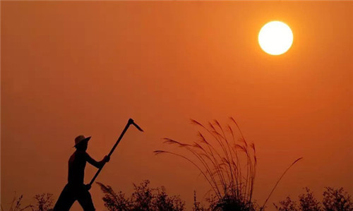 于丹|继于丹之后，又一位国学大师被赶下神坛？网友：大师有点太多了