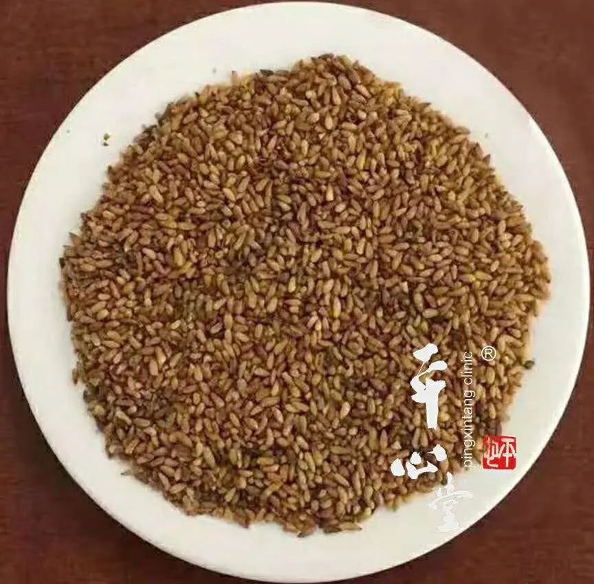 每日一味药柏子仁