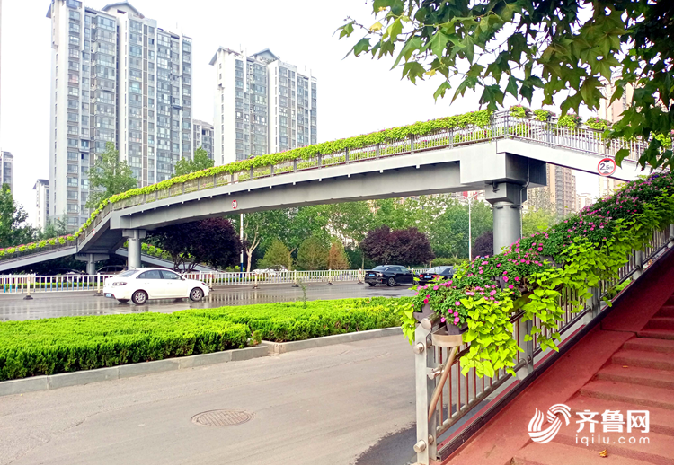 去年以来,聊城市先后在城区东昌西路,柳园南路,湖南西路等路段修建了