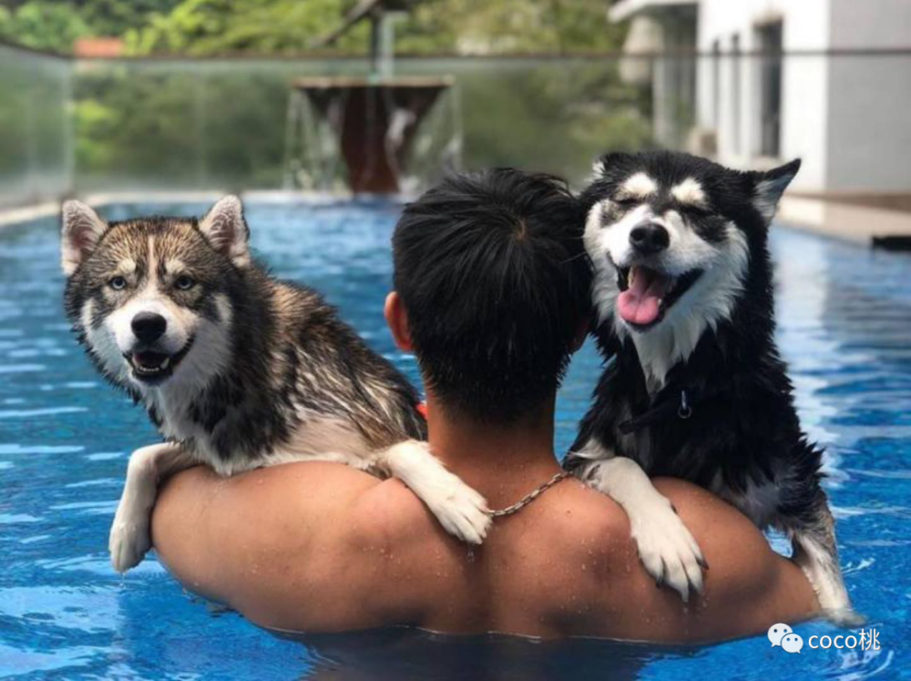李嘉欣|从老牌最美港姐到嫁豪门，李嘉欣都得喊她一声大前辈！