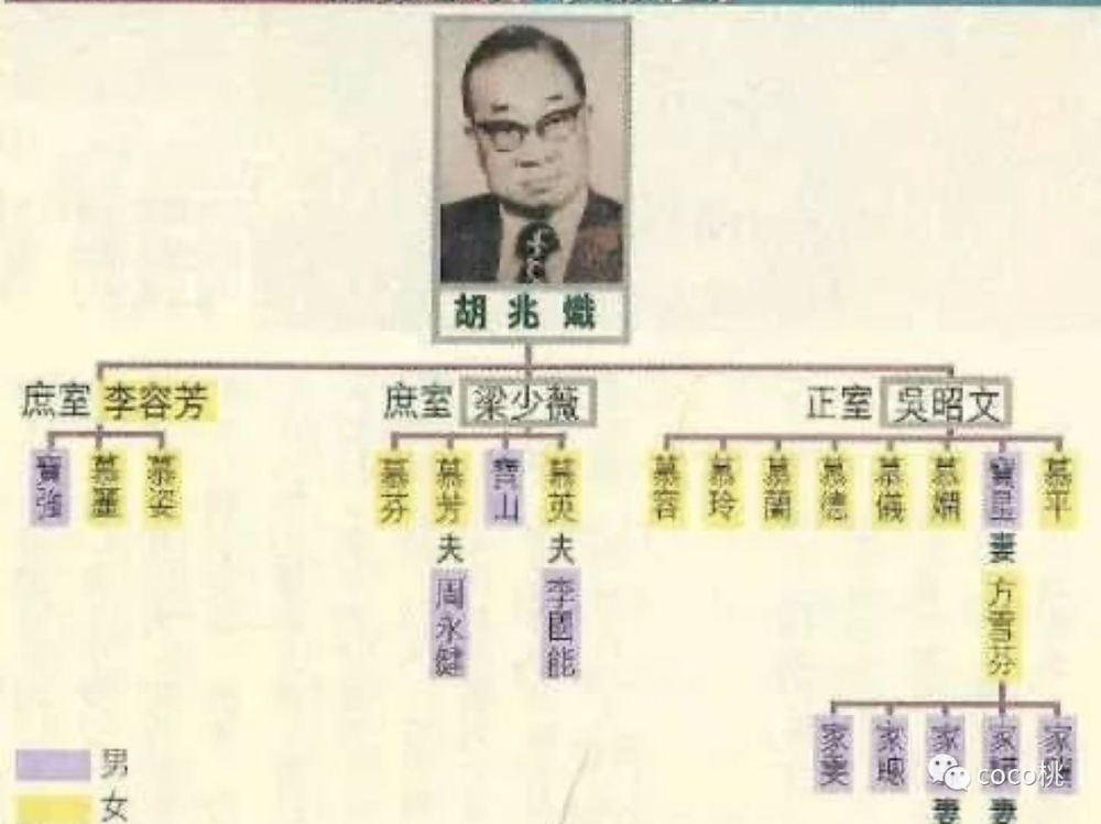 李嘉欣|从老牌最美港姐到嫁豪门，李嘉欣都得喊她一声大前辈！