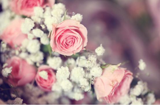 弓形虫病|血清弓形虫IgM抗体阳性，CD4小于等于200的艾滋病人，具高危险性