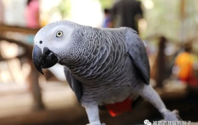 641