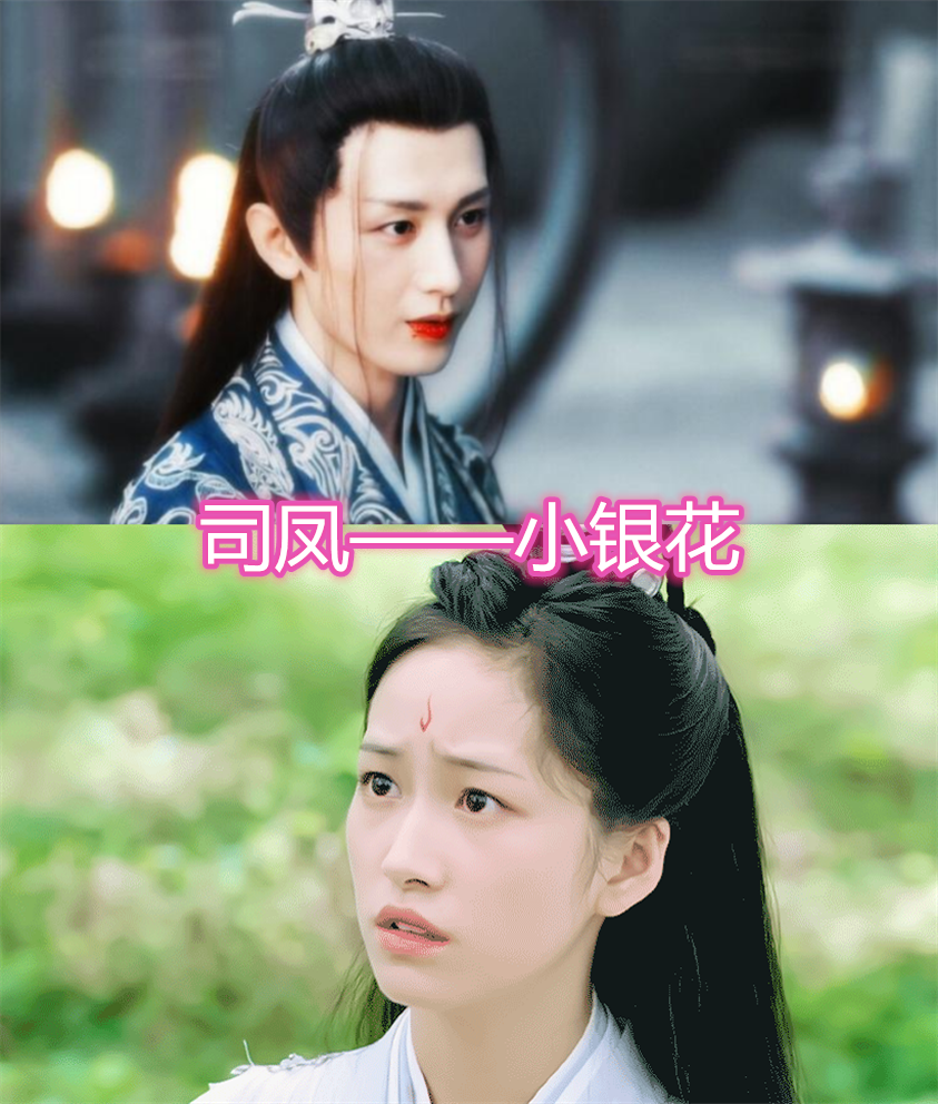 古装剧中的灵宠司凤的小银花忠心灵儿的小石头厉害最后这组太经典