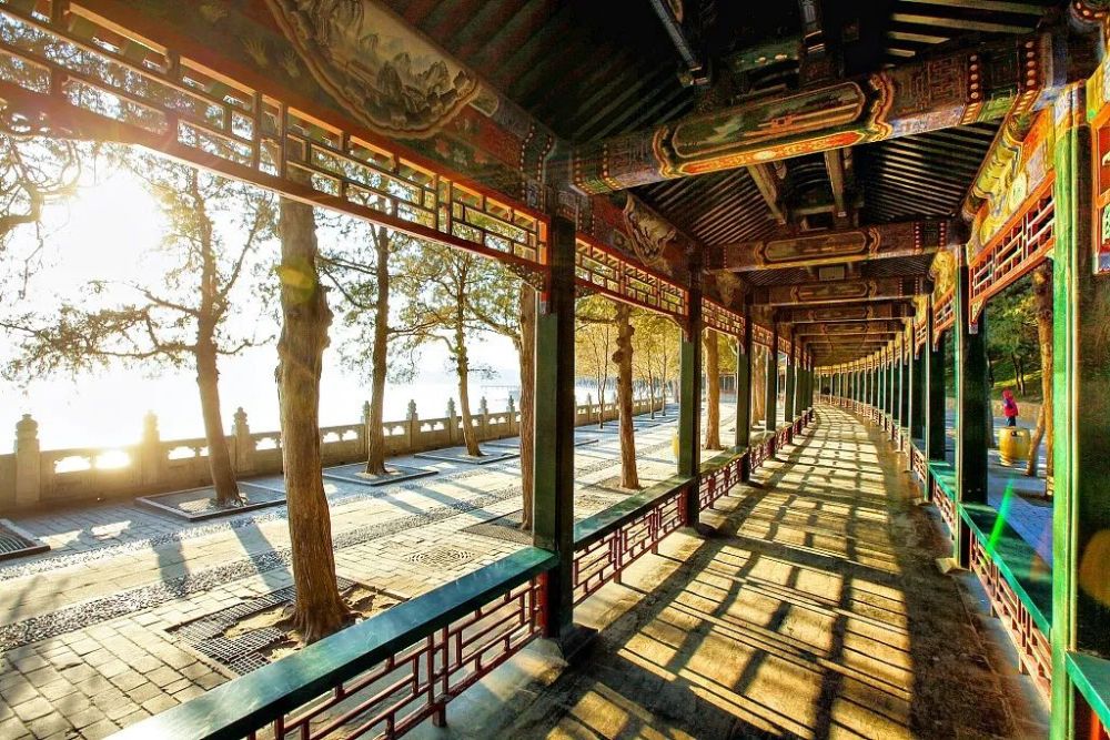 杨绛|杨绛：一家人的生活，总是藏着一些妙趣