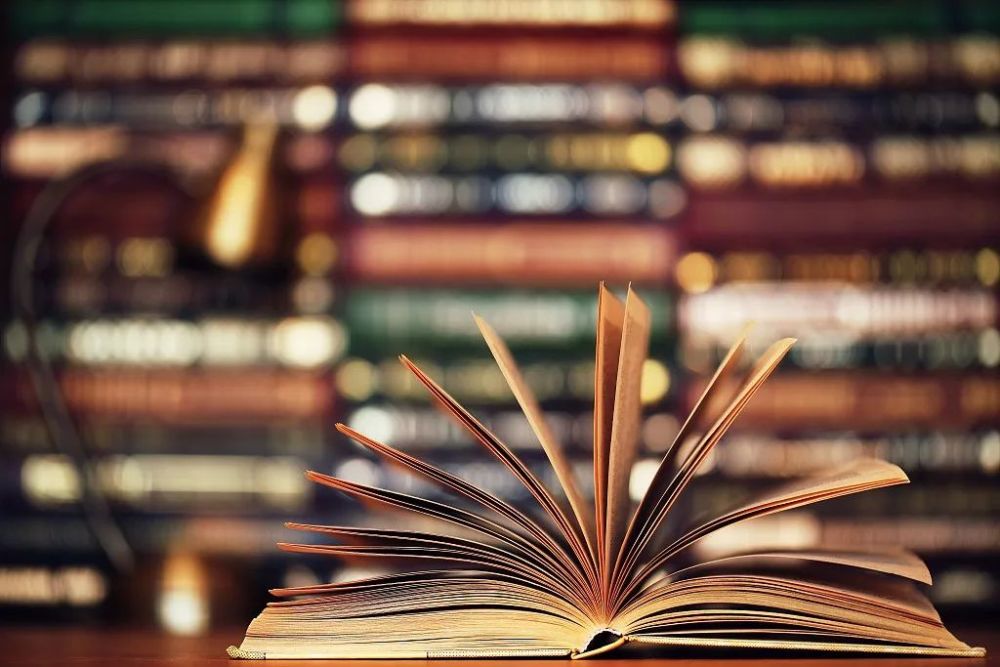 杨绛|杨绛：一家人的生活，总是藏着一些妙趣