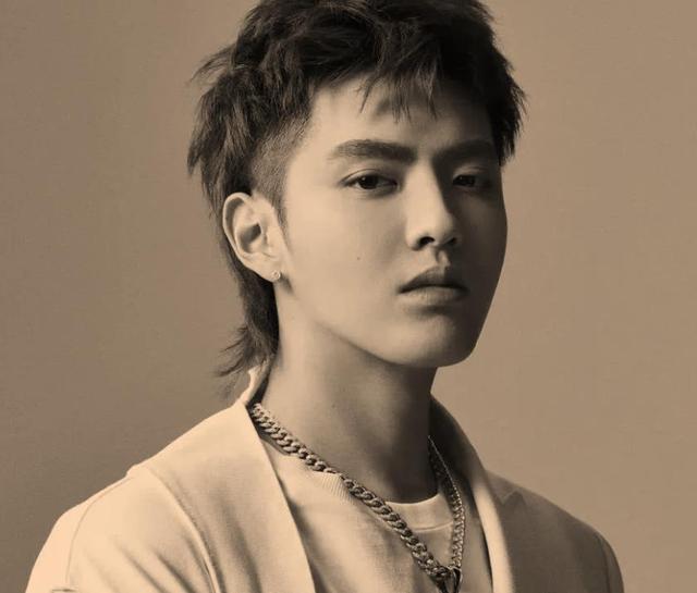 吴亦凡|保镖推人粉丝洗白？吴亦凡高调背后，是一群被宠坏的中国明星