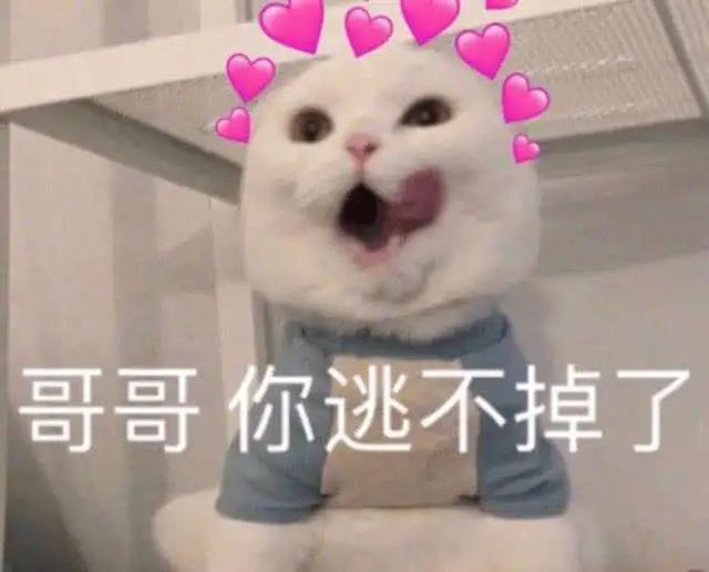 罗云熙|演员罗云熙十年芭蕾破茧成蝶 “一杯敬努力一杯敬光芒”