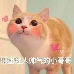 罗云熙|演员罗云熙十年芭蕾破茧成蝶 “一杯敬努力一杯敬光芒”