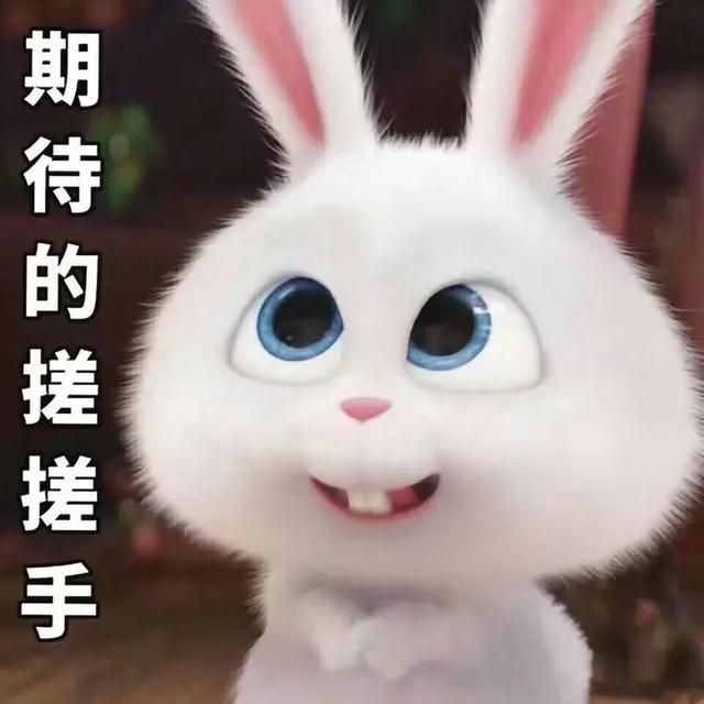 罗云熙|演员罗云熙十年芭蕾破茧成蝶 “一杯敬努力一杯敬光芒”