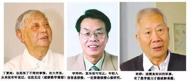 中科院的三位院士李邦河,丁夏畦,林群在得知了此消息后,更是本着惜才