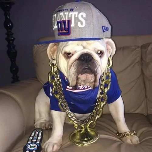 网红|16岁小混混自创社会摇疯狂吸金被封，如今狂刷百万礼物重出江湖…