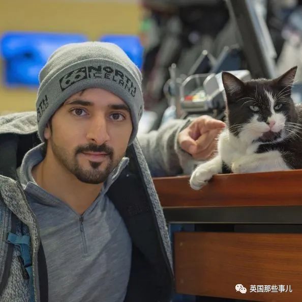 鸟夫妇在迪拜王子豪车上筑巢他拉起警戒线保护网友这鸟真会挑