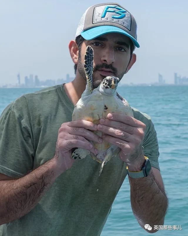 鸟夫妇在迪拜王子豪车上筑巢他拉起警戒线保护网友这鸟真会挑