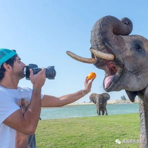 鸟夫妇在迪拜王子豪车上筑巢他拉起警戒线保护网友这鸟真会挑