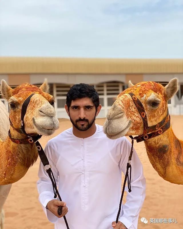 鸟夫妇在迪拜王子豪车上筑巢他拉起警戒线保护网友这鸟真会挑