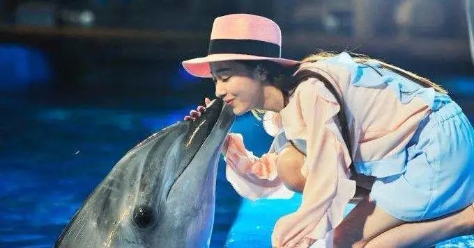 海洋馆|玩大了！新西兰造出“假冒海豚”，售价1.8亿，还要卖给中国……