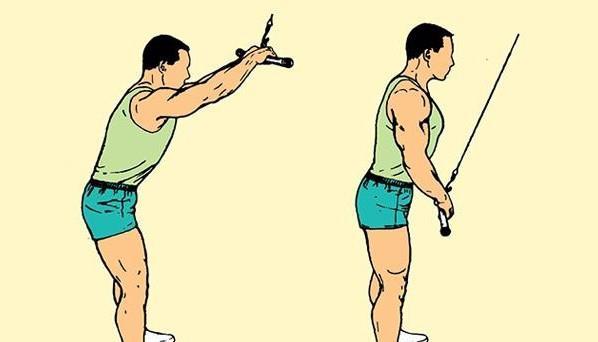 直臂下压让你的背部更有细节