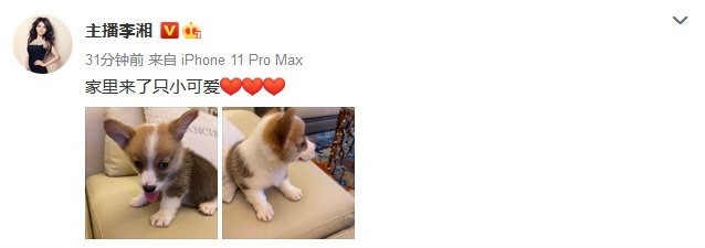 李湘|李湘在婚姻关系中的强势，终究留不住男人