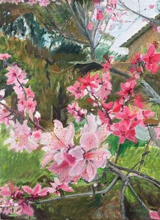 绘画艺术|农妇挑战绘画大师，画桃花竟能媲美真迹？专家：毫无艺术性！