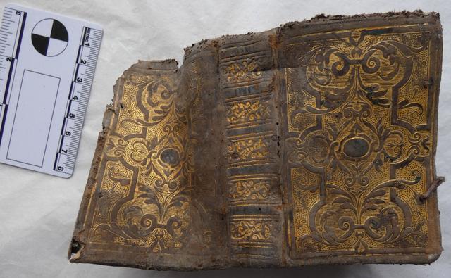 考古学家|考古学家翻修古堡，在老鼠洞内找到古代孤本书，之前世上只有一册