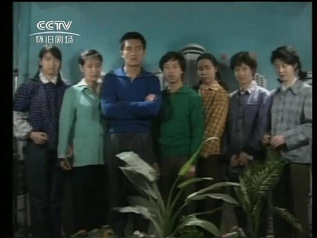 1990年广东电视珠江台经典电视剧《外来妹》主要演员大盘点