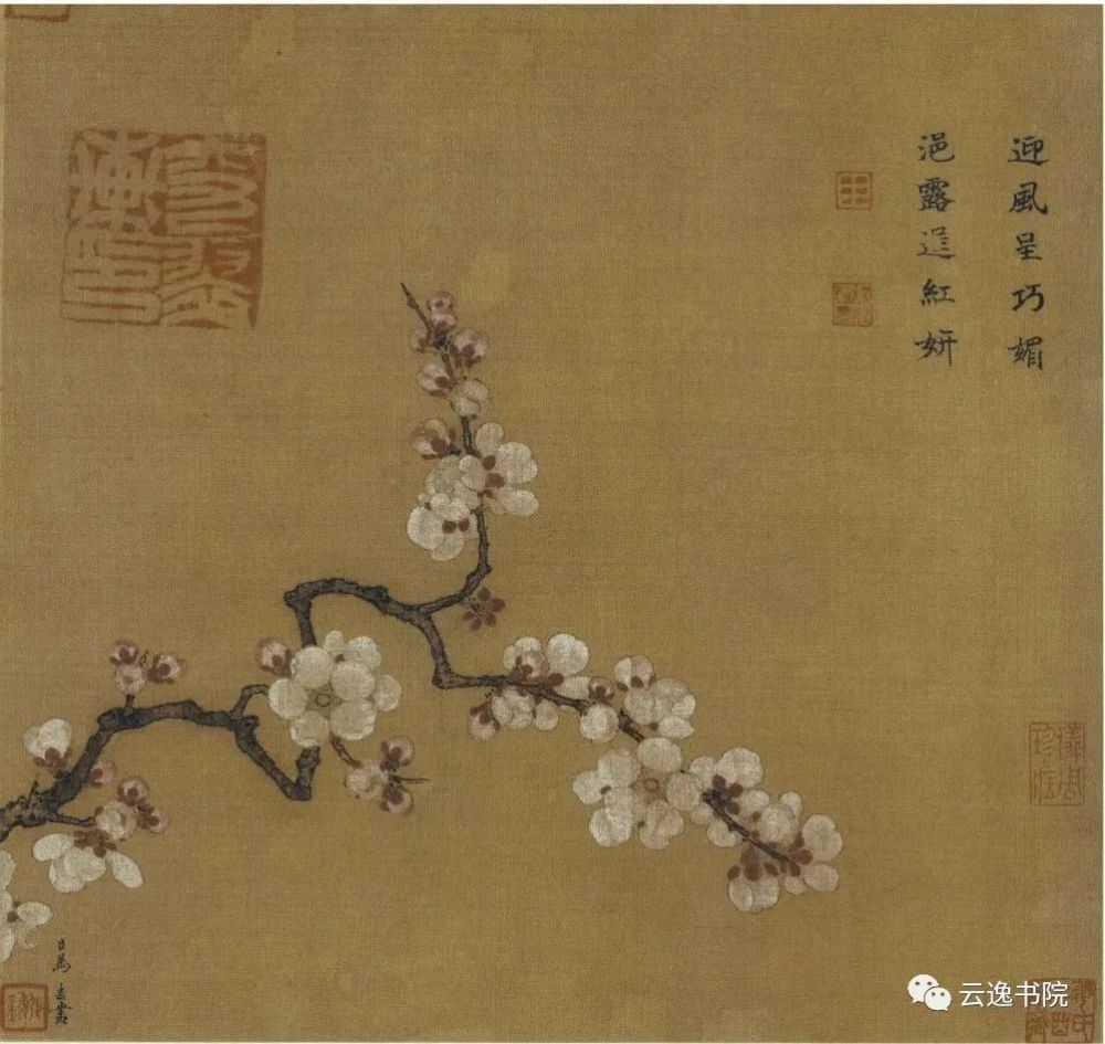 花鸟画|宋代小品画赏析：折枝花鸟画