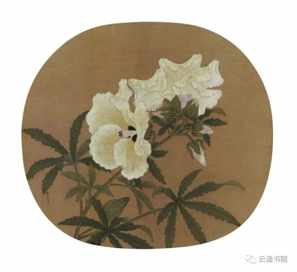 花鸟画|宋代小品画赏析：折枝花鸟画