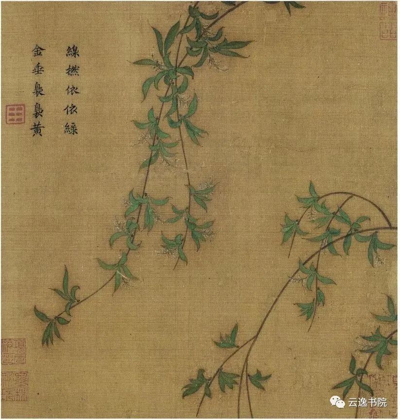 花鸟画|宋代小品画赏析：折枝花鸟画