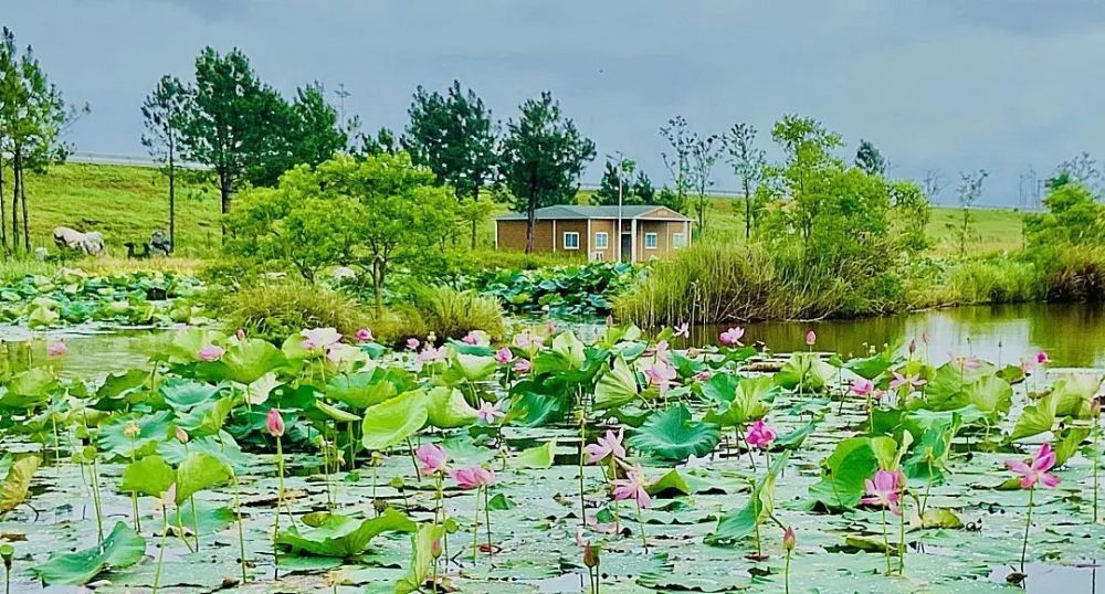 乐游余干,这里藏着一幅如诗画般的田园鄱阳湖