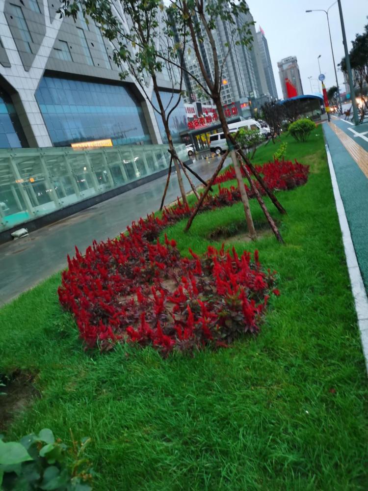 天空|懂得，一定是风雨穿行的冷暖