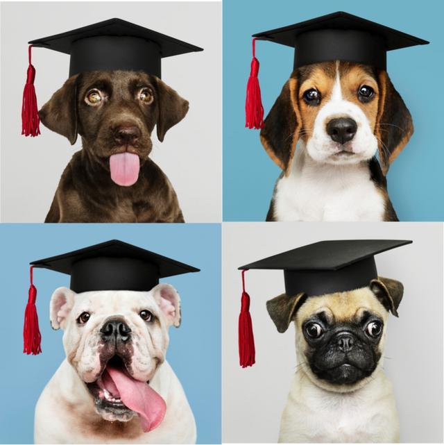 大数据|“聪明”基因在减少？基因大数据的研究可靠吗？