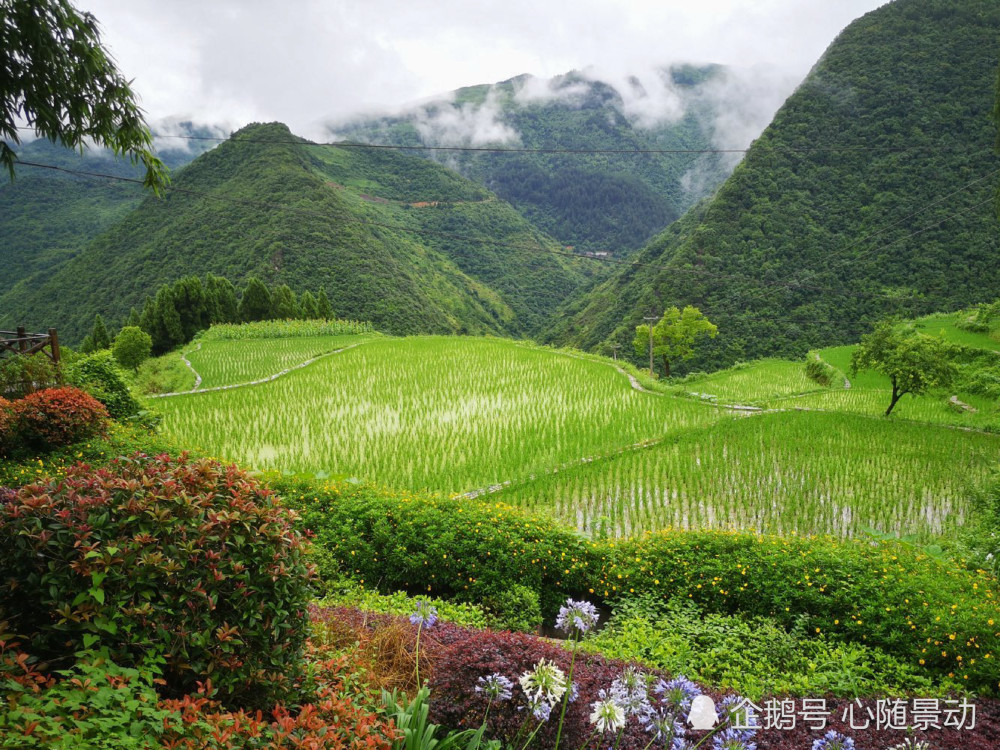 贵州大山里86岁老人 用36年在悬崖上凿15公里天渠 感动了全中国 腾讯新闻