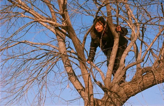 Hello 树先生 上映时票房只有0万 网友 这部电影拍早了 腾讯新闻