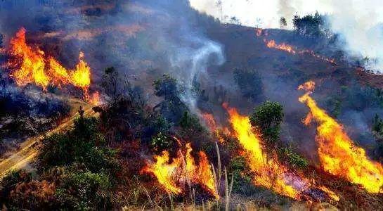 秸秆|农村禁止烧秸秆是谁提出来的？科学依据在哪里？