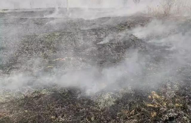 秸秆|农村禁止烧秸秆是谁提出来的？科学依据在哪里？