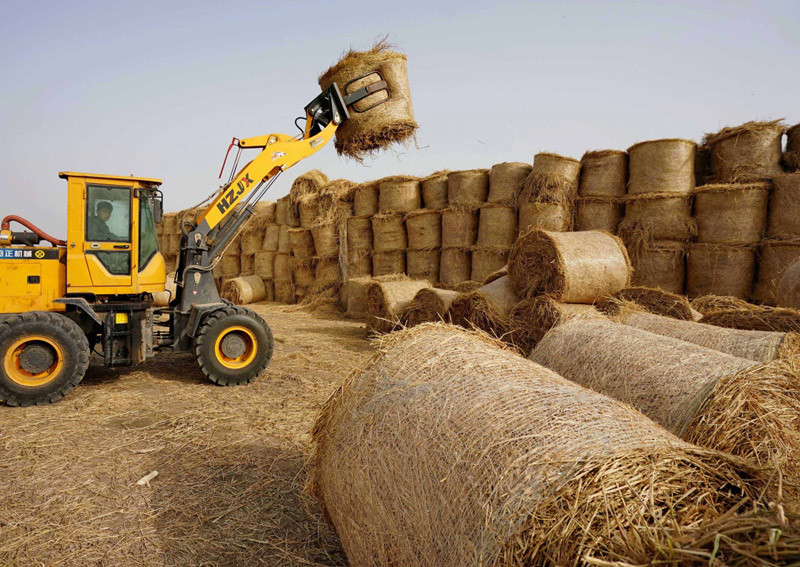 秸秆|农村禁止烧秸秆是谁提出来的？科学依据在哪里？