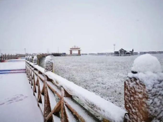 地球|2020年地球怎么了？秋后一伏，迎来罕见的8月降雪，该怎么办？