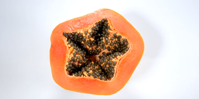 雨林仙木瓜产品篇红妃木瓜