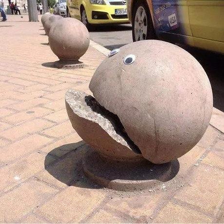 24张不可思议的错觉照片长颈鹿你的脖子去哪里了