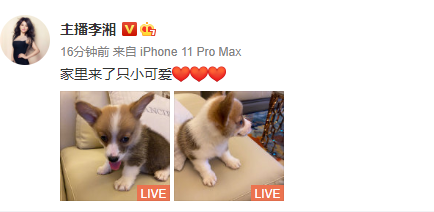 王岳伦|真要离婚？王岳伦壁咚事件再曝新料后，圈内好友删除力证他顾家爱妻的动态